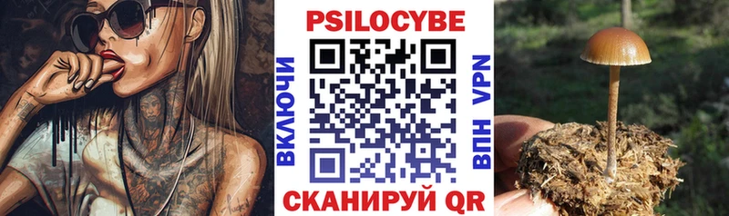 Купить где  Ревда  Галлюциногенные грибы Psilocybine cubensis 