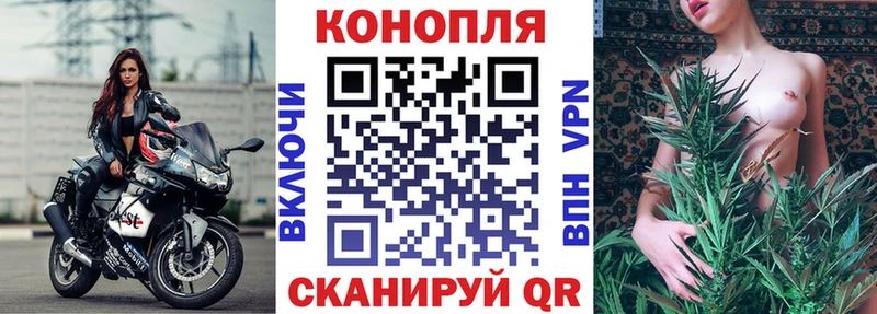 Конопля планчик Купить где Ревда
